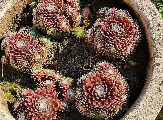 Appartement Jacquada Val de Louyre et Caudeau